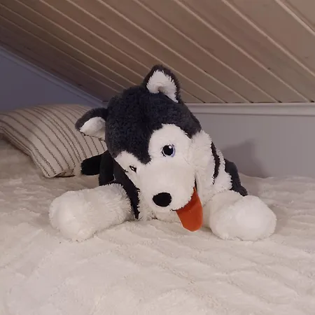 샬레 Anilia 소티