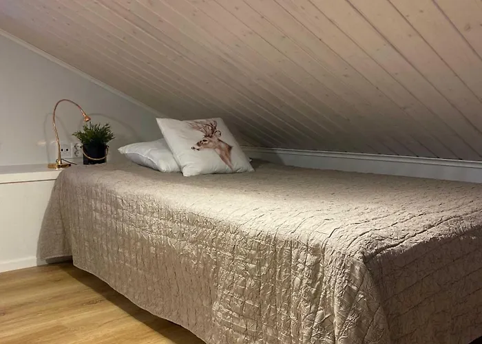 Anilia 샬레 소티