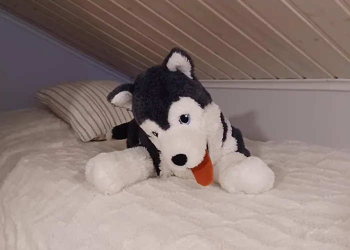 샬레 Anilia 소티